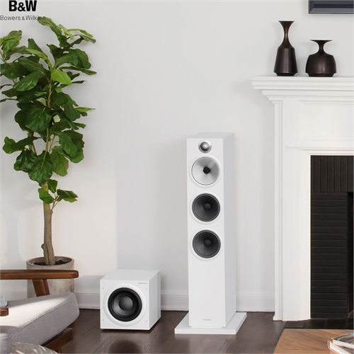 Loa Bowers & Wilkins ASW610XP 2